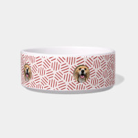 Comida para perros accesorio Mascota nuevo y perso