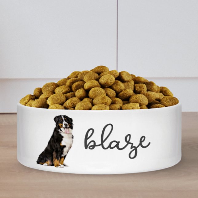 Comedero Comida personalizada de perro de montaña en Bernés (Subido por el creador)