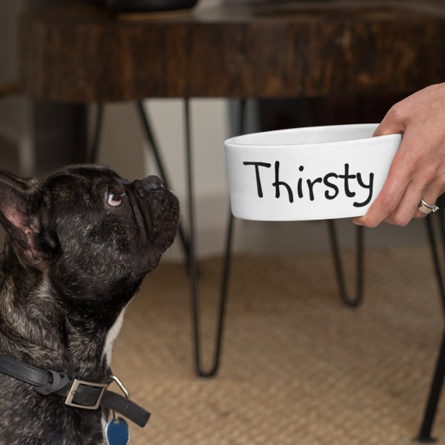 Comedero Comida Sed Graciosa Humor Dog Mascota (Subido por el creador)