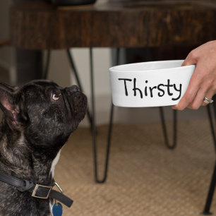 Comedero Comida Sedienta Humor Divertido Perro Mascota