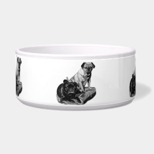 Comedero Comida sombreada, par de pug