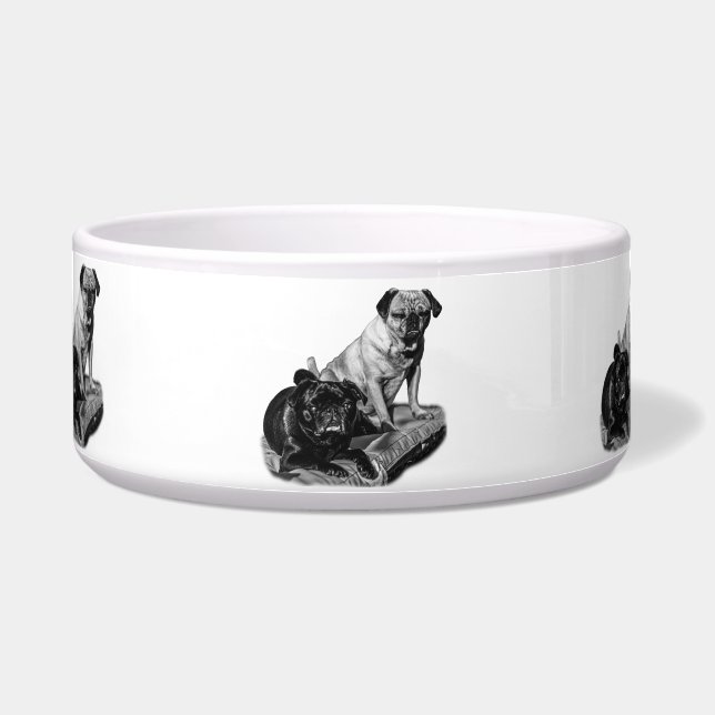 Comedero Comida sombreada, par de pug (Frente)
