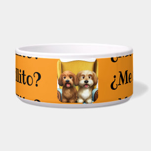 Comedero con personalidad “Amiguitas Peludas”