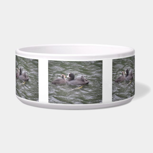 Comedero Coot Alimentando a Hungry Chick Pet Bowl (Frente)
