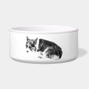 Comedero Corgi de comida, amigo relajado