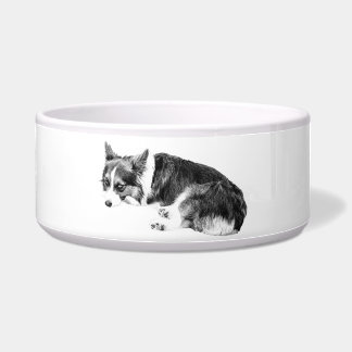 Comedero Corgi de comida, amigo relajado