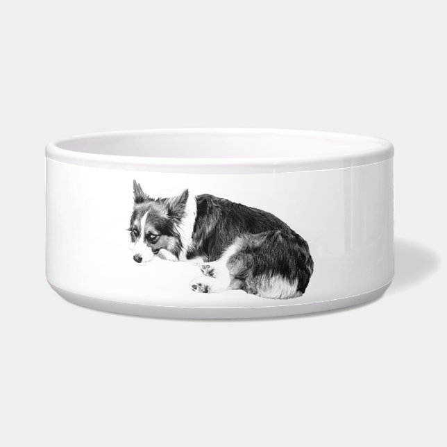 Comedero Corgi de comida, amigo relajado (Frente)