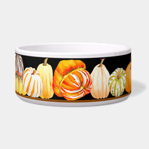 Comedero Cosecha de calabaza en un recipiente de ensalada