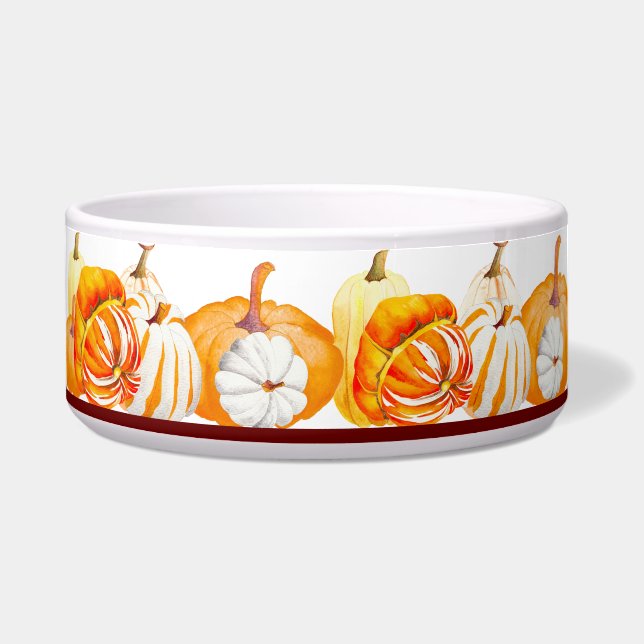 Comedero Cosecha de calabaza en un recipiente de ensalada ( (Izquierda)