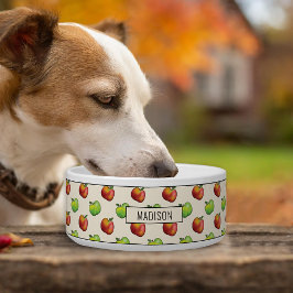 Comedero Cosecha Frutos De Apple Otoño Patrón Rojo Y Verde