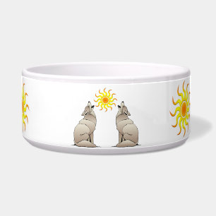 COMEDERO COYOTES CON UN SOL DEL SUROESTE