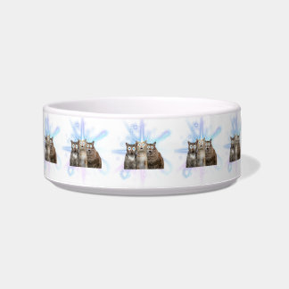 Comedero Crazt cat bowl