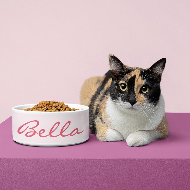 Comedero Crear alimentos para gatos de Mascota personalizad (Create Custom Personalized Pet Kitten Cat Food Bowl)