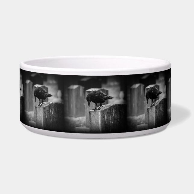 Comedero Crow en el cementerio caído (Frente)