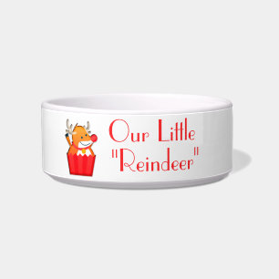 Comedero Cuidar nuestro pequeño tazón de renos