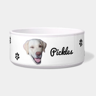 Comedero Custom Dog Photo