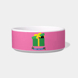 Comedero Cute Blackbird Buscando En Una Caja De Regalo