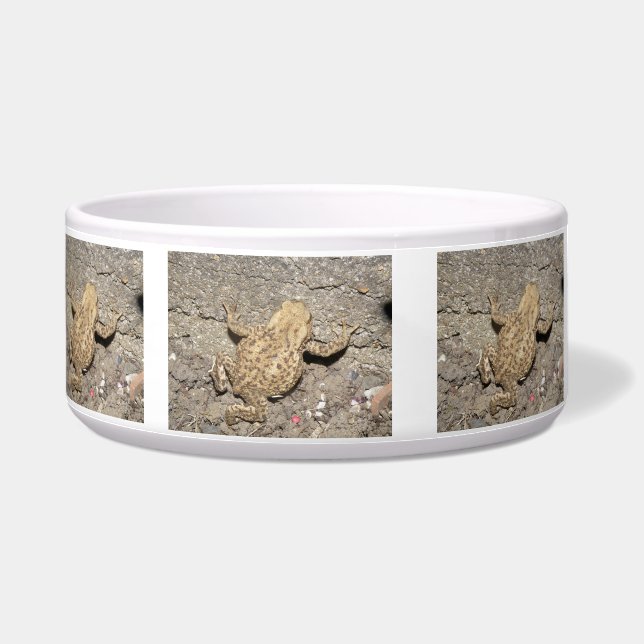 Comedero Cute Crawling Toad Bowl (Izquierda)