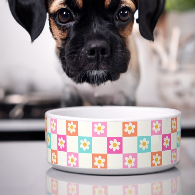 Comedero Cute Daisy Chequerboard Mascota simple y colorido (Cute dog bowl with colorful daisy chequerboard pattern)