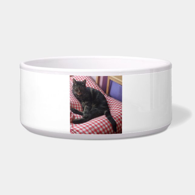 Comedero Cute Dave Large Pet Bowl (Frente)