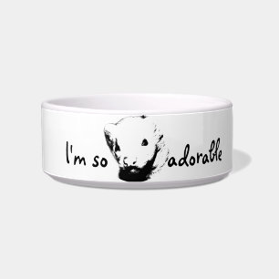 Comedero Cute Ferret Picture