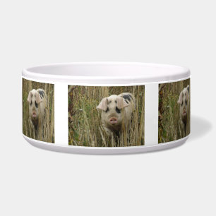 Comedero Cute Pig Pet Bowl