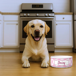 Comedero Cute Pink White Gingham Checkered Pattern Name