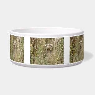 Comedero Cute Spotty Pig Dog Bowl