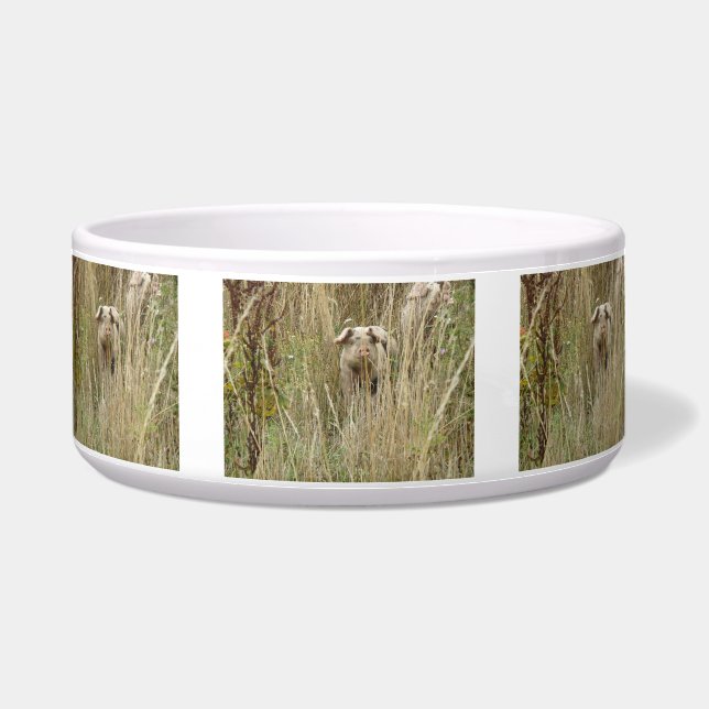 Comedero Cute Spotty Pig Dog Bowl (Frente)