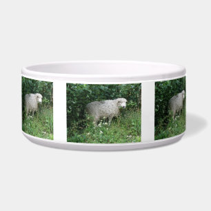 Comedero Cute White Fluffy Sheep Comiendo Tazón De Peta