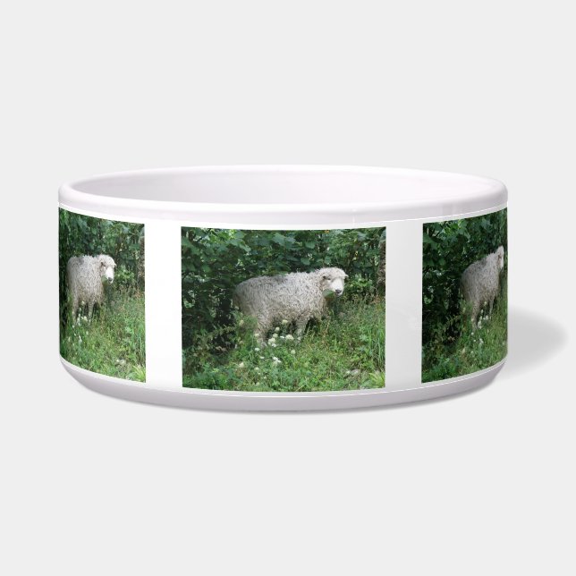 Comedero Cute White Fluffy Sheep Comiendo Tazón De Peta (Frente)