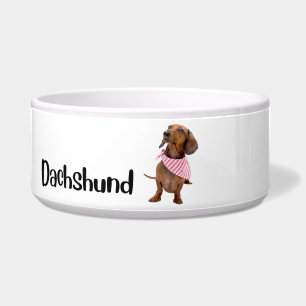 Comedero Dachshund - tazón de perro por raza