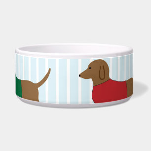 Comedero Dachshunds En Los Suéteres
