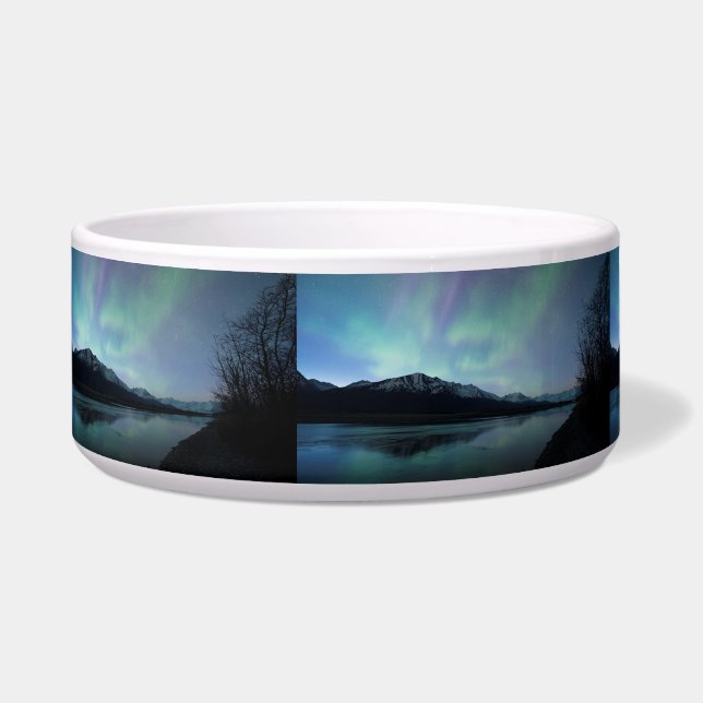 Comedero Dawn Aurora (Izquierda)