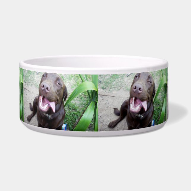 Comedero Delicias de Goofy: cachorro labrador chocolate mar (Frente)