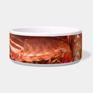 Comedero Deliciosos Langostinos