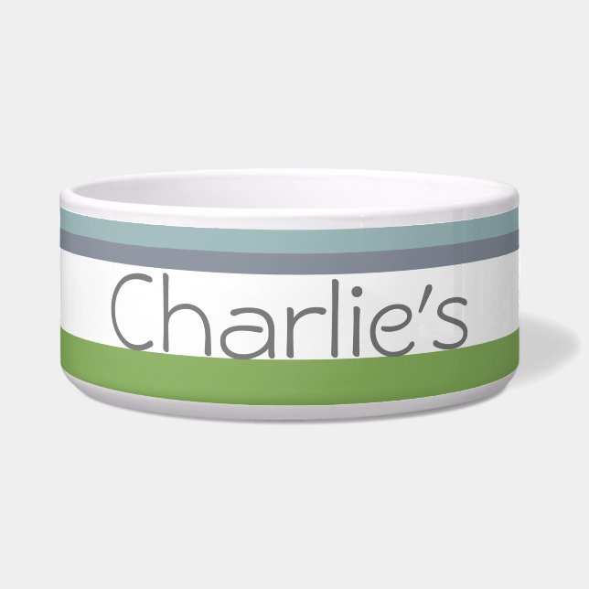 Comedero Diseño de banda moderna (Frente)