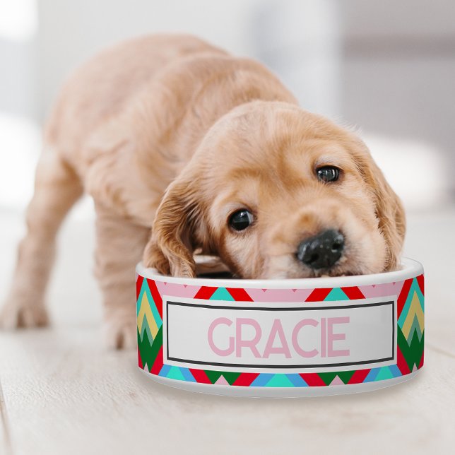 Comedero Diseño de cumbres montañosas con nombre Mascota (A retro colorful dog bowl for your pup!)
