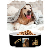 Divertido perro de la corona con nombre de oro neg