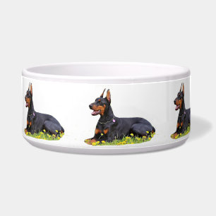 Comedero Doberman Pinscher