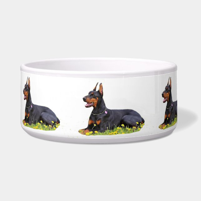 Comedero Doberman Pinscher (Frente)