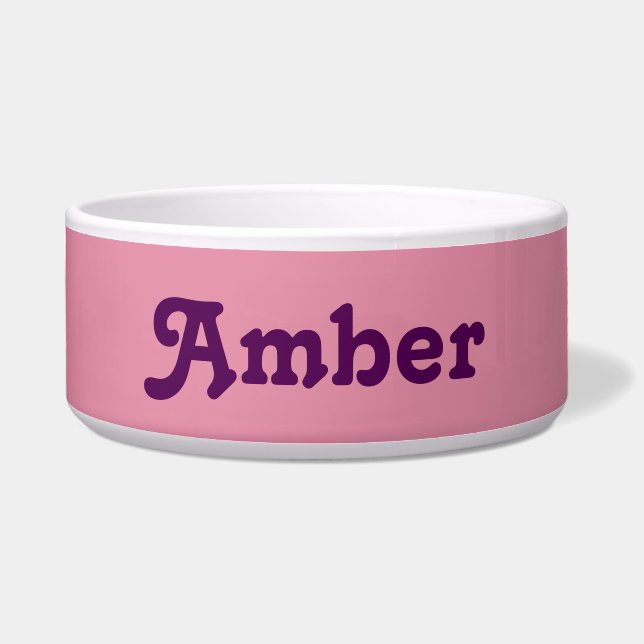 Comedero Dog Bowl Amber (Frente)