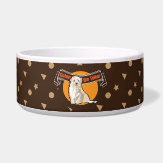 Comedero Dog coton de tulear