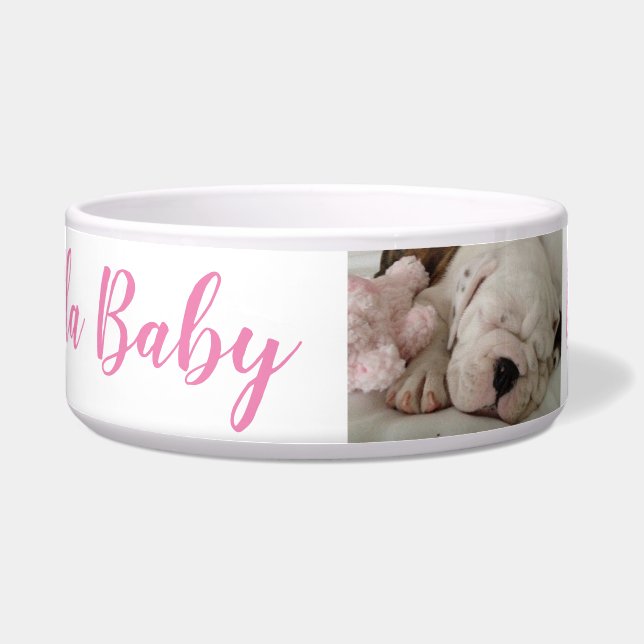 Comedero Dormir Cachorros bulldoges (Frente)