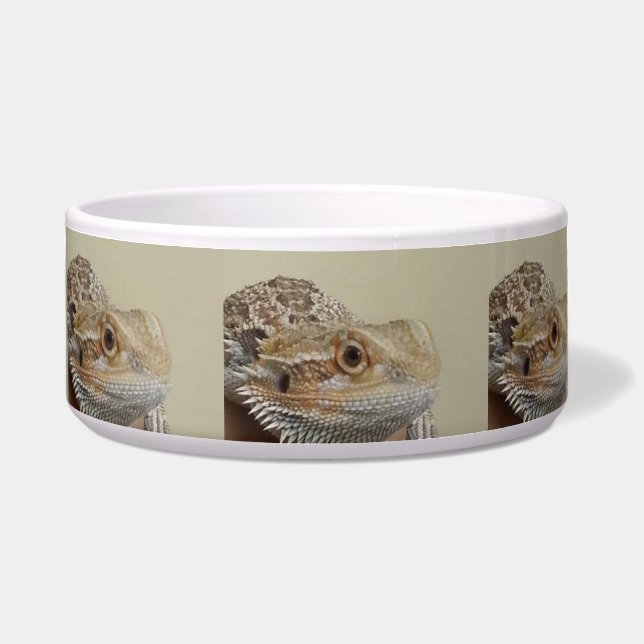 Comedero Dragón (Frente)