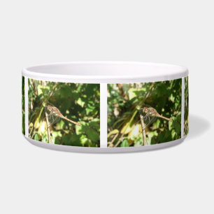 Comedero Dragonfly on the Twig Dog Bowl