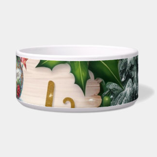 Comedero Écuelle en céramique pour animaux