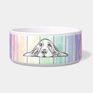 Comedero el amor conquista todo perro arcoíris basset hound