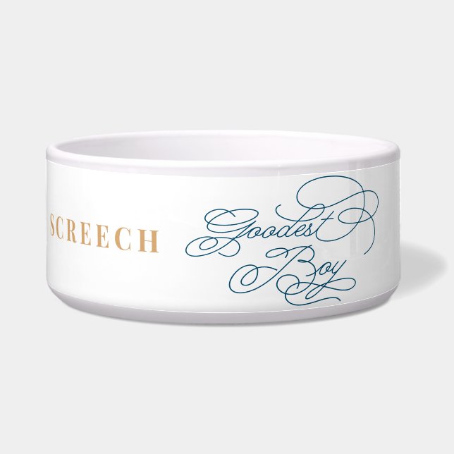 Comedero El chico más gracioso, elegante y elegante perro a (Frente)