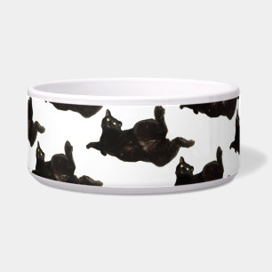 Comedero El gato negro y afortunado está despierto